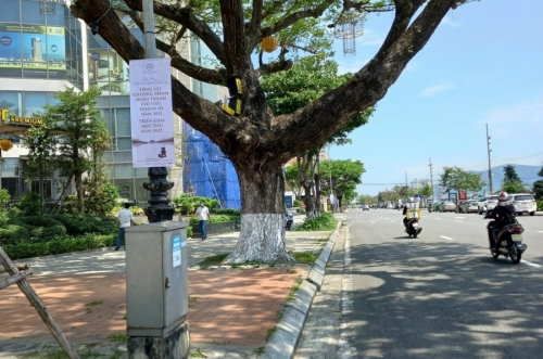 Lý do nên chọn dịch vụ treo cờ phướn tại Quảng Ngãi